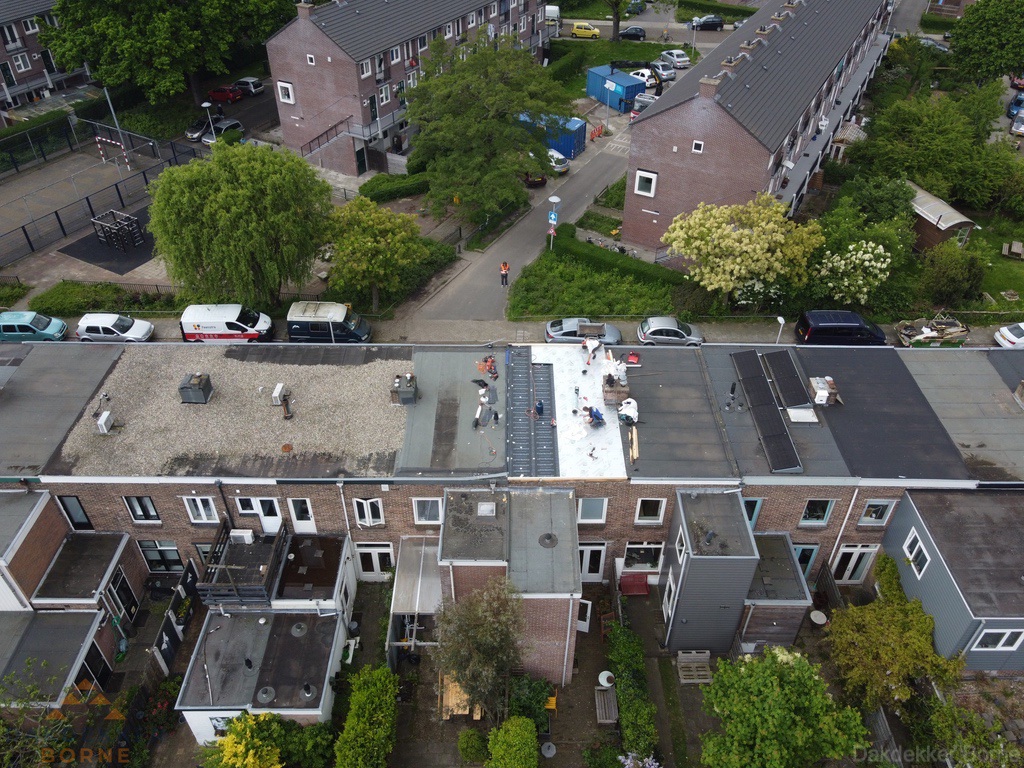 Dakinspectie In Borne Dakinspectie In Borne